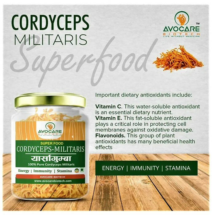 Avocare Biotech Cordyceps Militaris