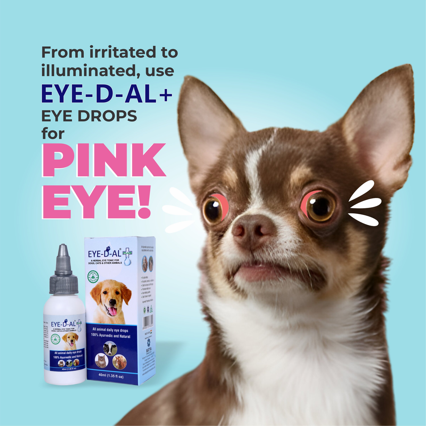 Satya Pharmaceuticals Ayurveda Eye-D-Al Plus Eye Drops