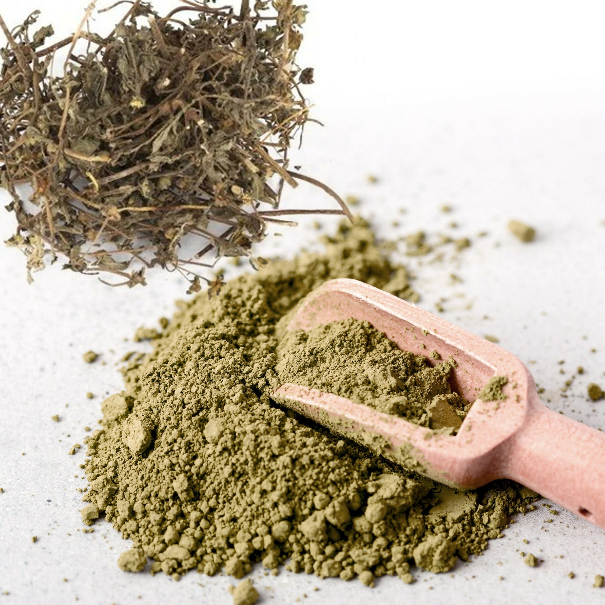 The Ayur House Bhringraj Powder