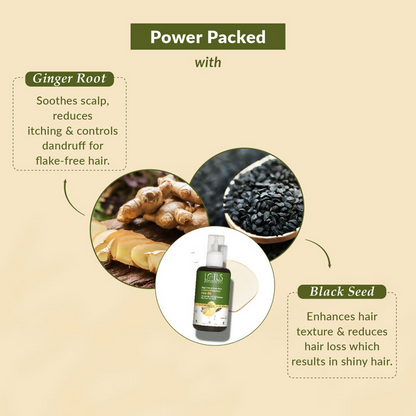 Lotus Botanicals Ginger Root & Black Seed Dandruff Control Hair Oil