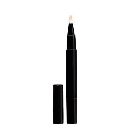 Buy Lakme Absolute Instant Airbrush Concealer Pen - Cocoa from DrMediCart, Ship from India to USA