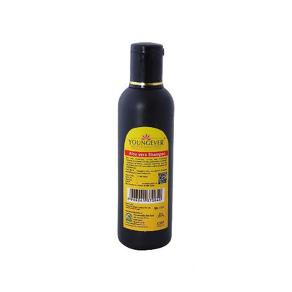 Youngever Aloe Vera Shampoo - Drmedicart