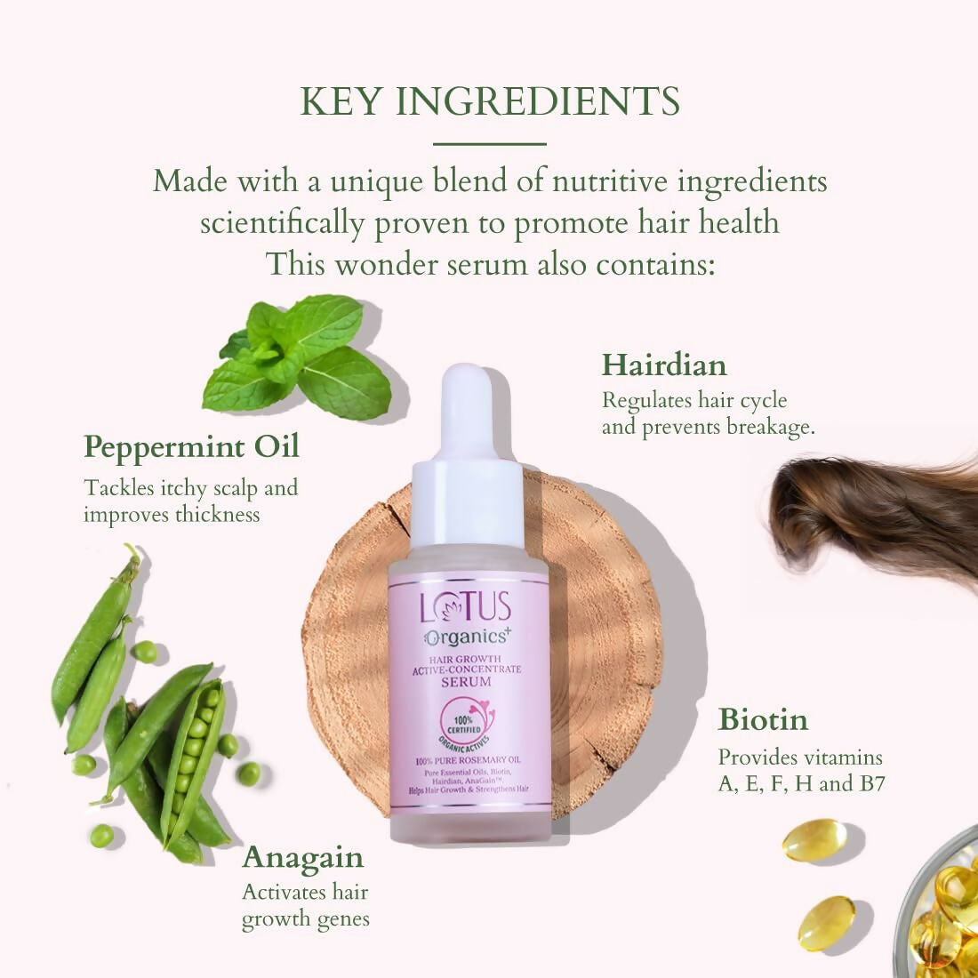 Lotus Organics+ Hair Growth Active Concentrate Serum for Hair Growth, Increases Thickness, Strengthens Hair Follicles