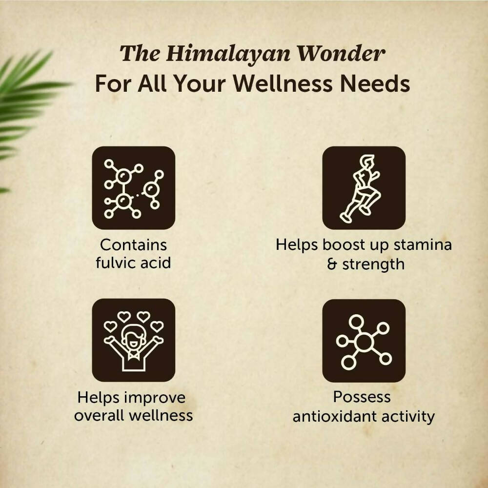 Neuherbs Pure Ayurvedic Himalayan Sj /Sj Resin