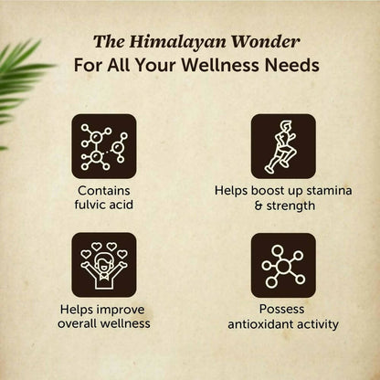 Neuherbs Pure Ayurvedic Himalayan Sj /Sj Resin