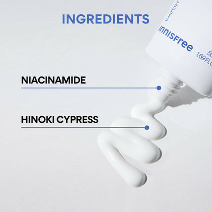 Innisfree Hyaluronic Moist Sunscreen SPF50+ PA++++ Korean Sunscreen