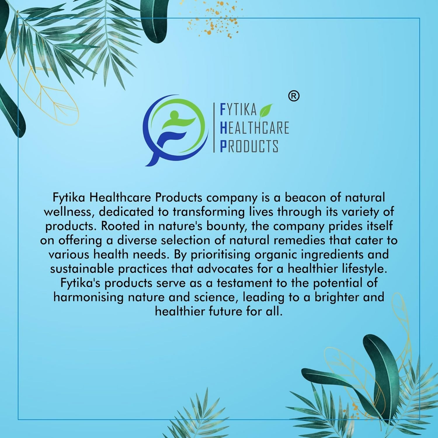 Fytika Healthcare Products Daily Protein Powder