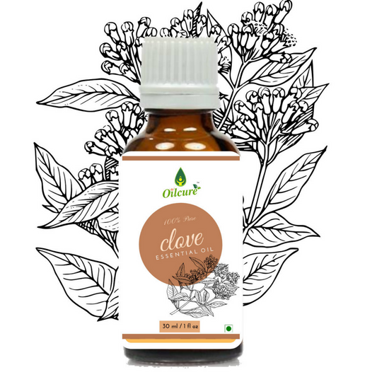 Buy Oilcure Clove Oil from DrMediCart, Ship from India to USA