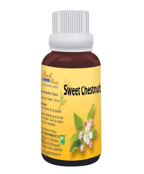 Buy Bio India Homeopathy Bach Flower Sweet Chestnut Dilution from DrMediCart, Ship from India to USA