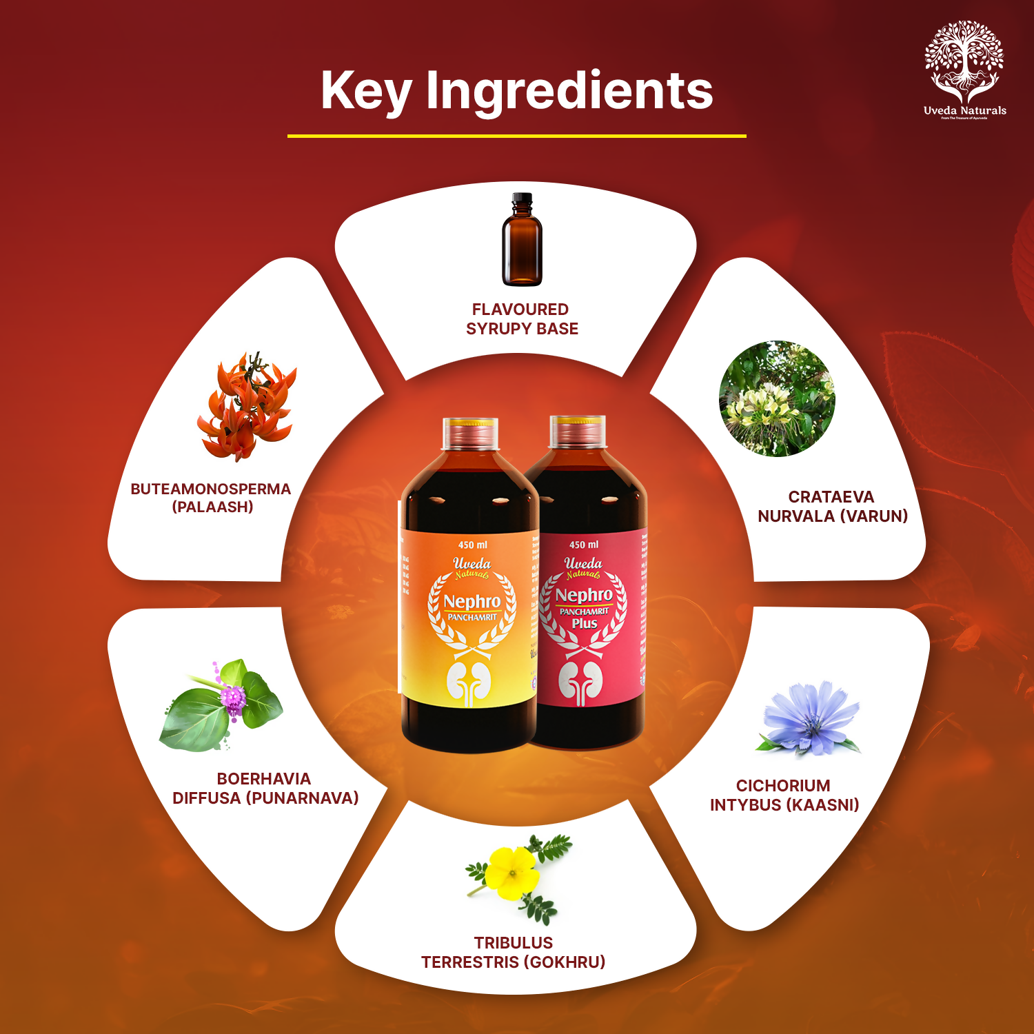 Uveda Naturals Nephro Panchamrit and Nephro Panchamrit Plus Combination