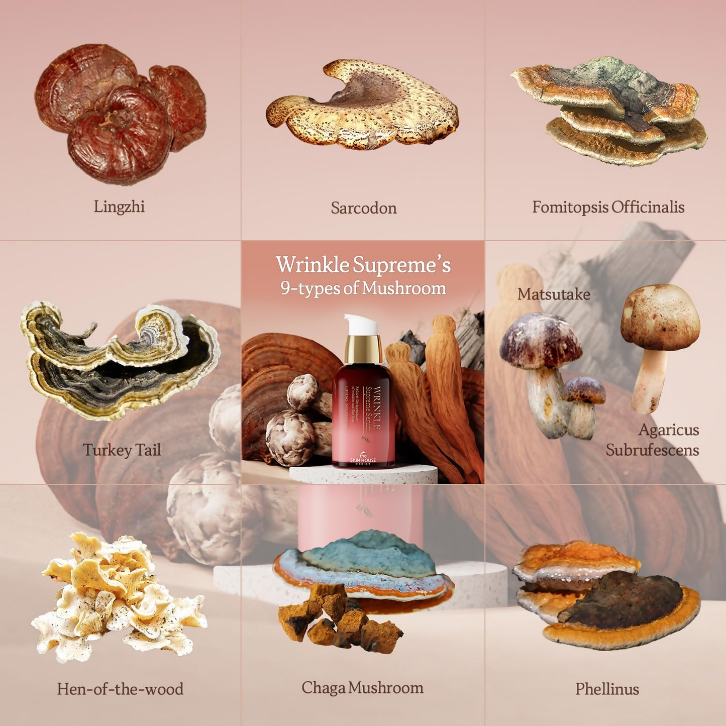 The Skin House since 1979 Wrinkle Supreme Serum