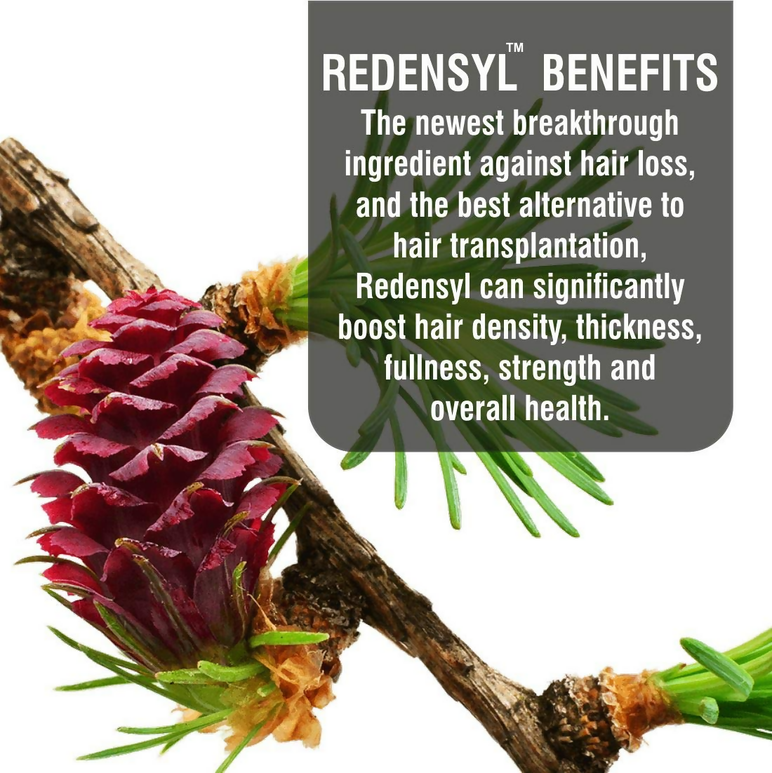 LA Organo Red Onion Hair Oil