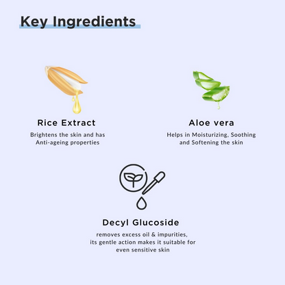 RiceKraft Rice Water Face Wash