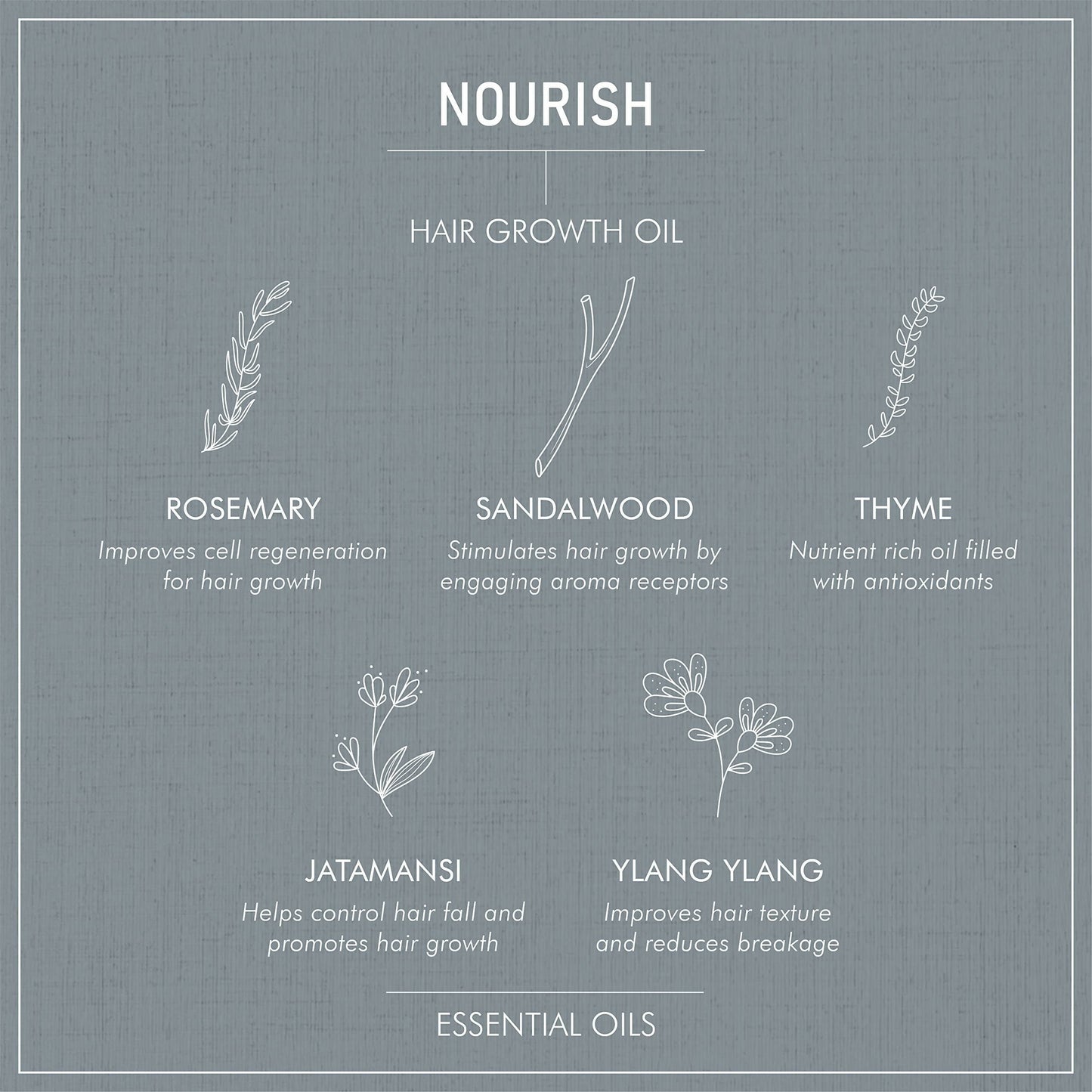 Secret Alchemist Nourish Hair Growth Oil