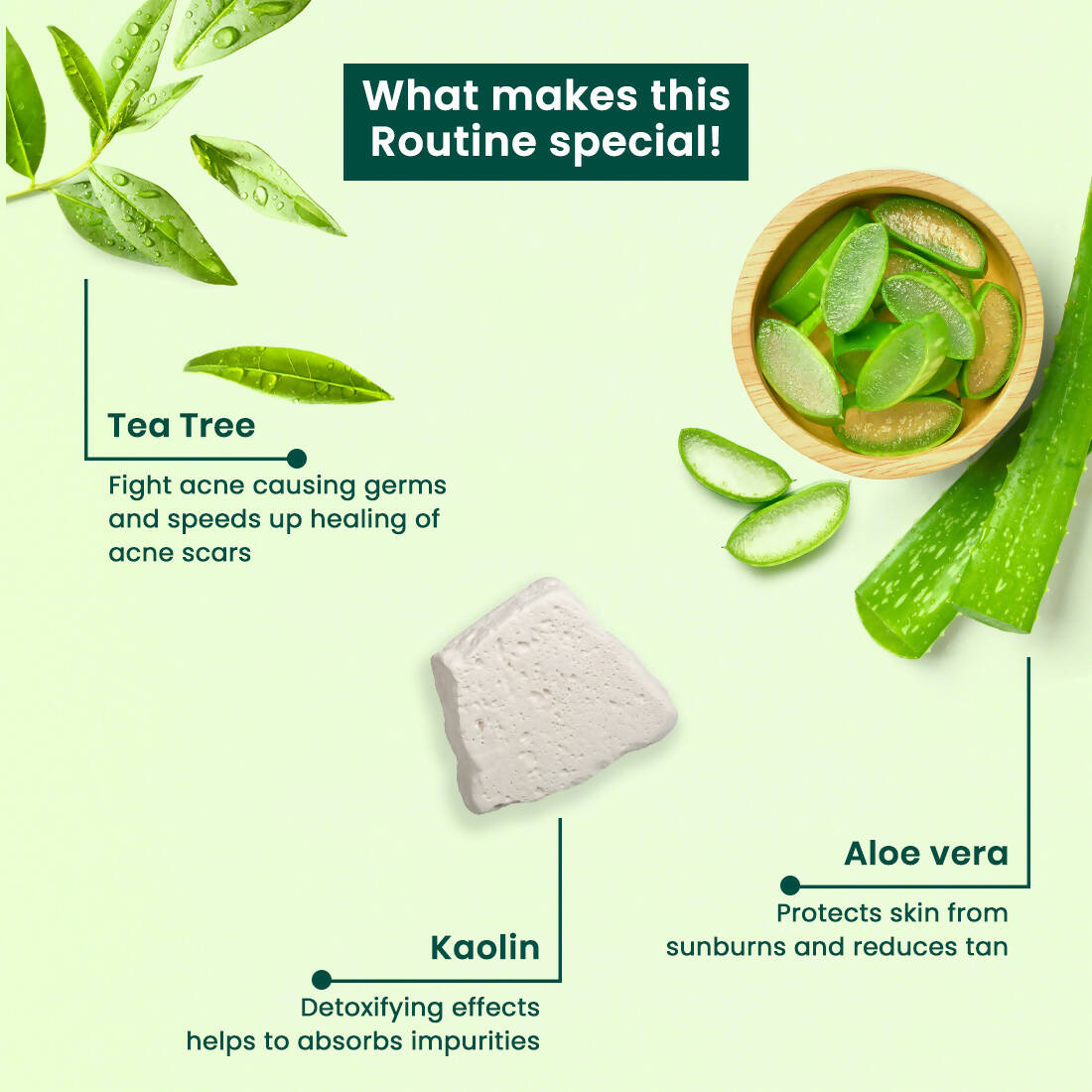 Vasu Healthcare Botanicals Tea Tree 3 in 1 Face Mask-Scrub-Wash - Drmedicart