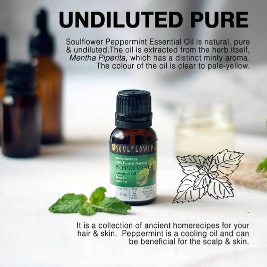 Buy Soulflower Peppermint Essential Oil from DrMediCart, Ship from India to USA