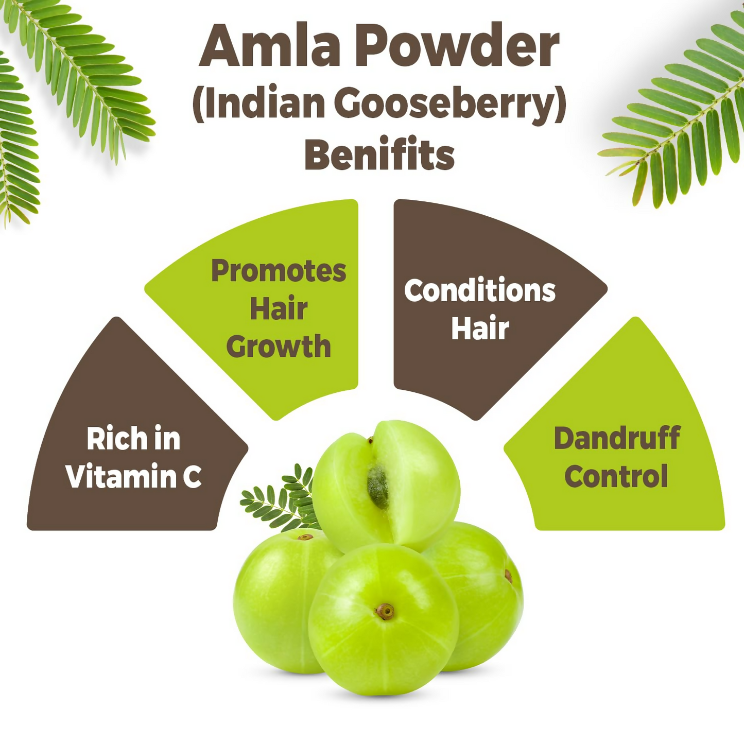 Carmel Organics Amla Fruit Powder