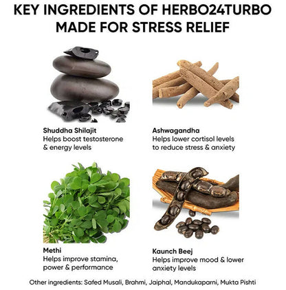 Dr. Vaidya's Herbo 24 Turbo Capsules For Stress Relief