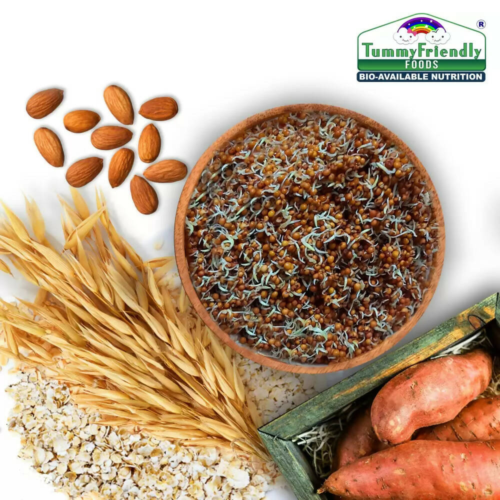 TummyFriendly Foods Certified Organic Multi-Grain, Sprouted Ragi, Oats, Red Lentil, Banana and Sathu Maavu Porridge Mixes Combo - Drmedicart