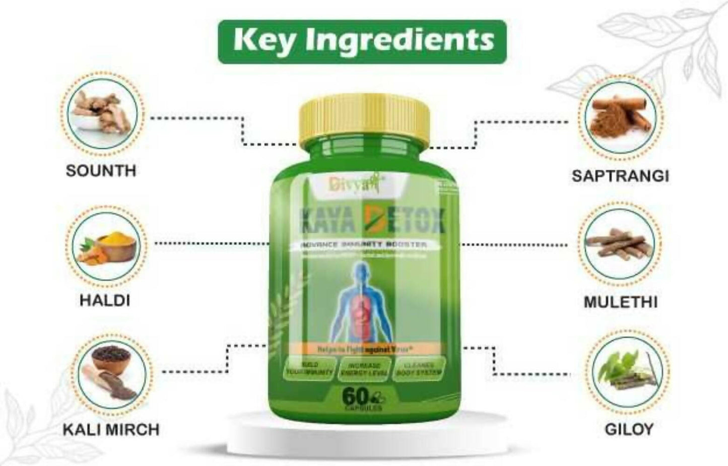Divya Shree Kaya Detox Capsules