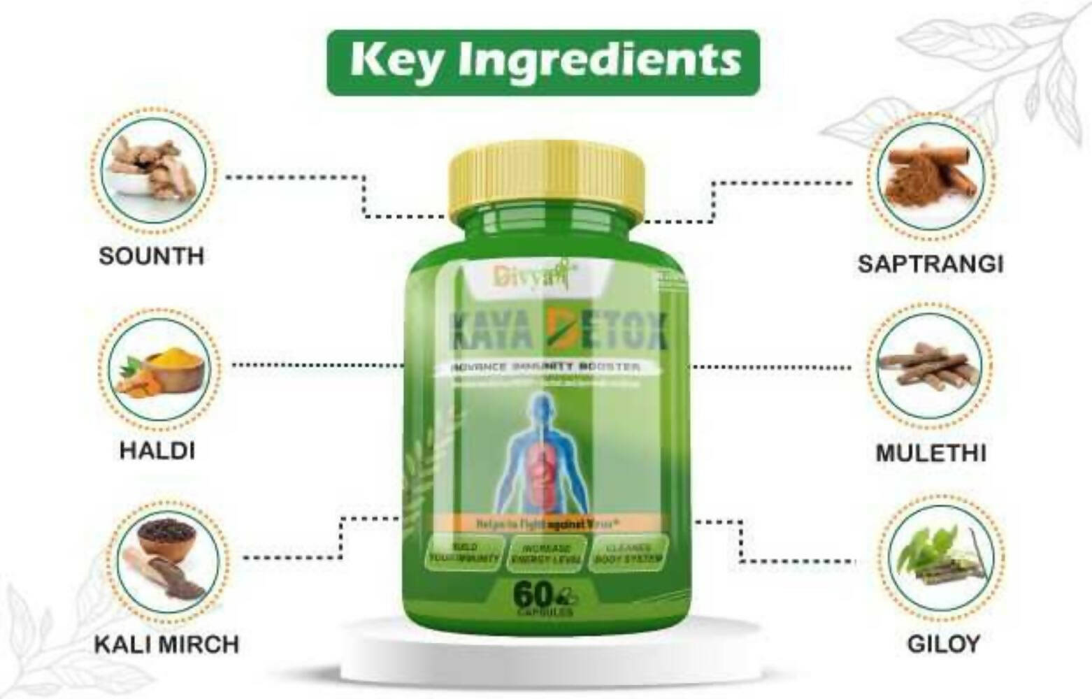 Divya Shree Kaya Detox Capsules