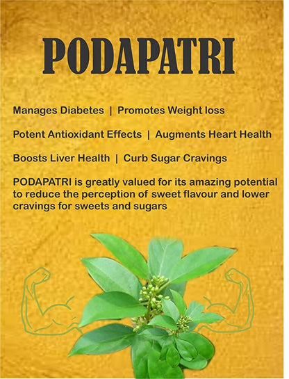 Spag Herbals Podapatri Powder