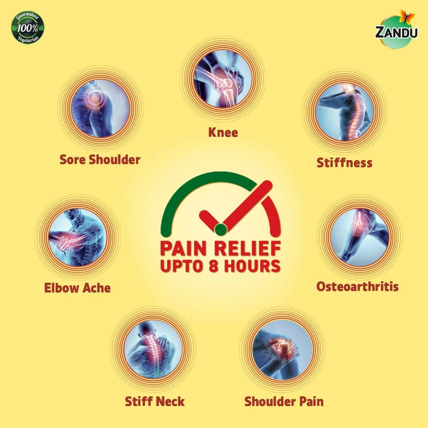 Zandu Ayurvedic Knee Pain Relief Patch - Drmedicart