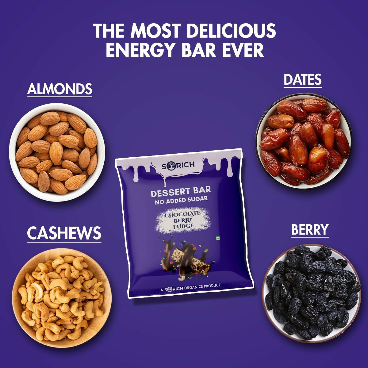 Sorich Organics Dessert Protein Mini Bars Chocolate Berry Fudge