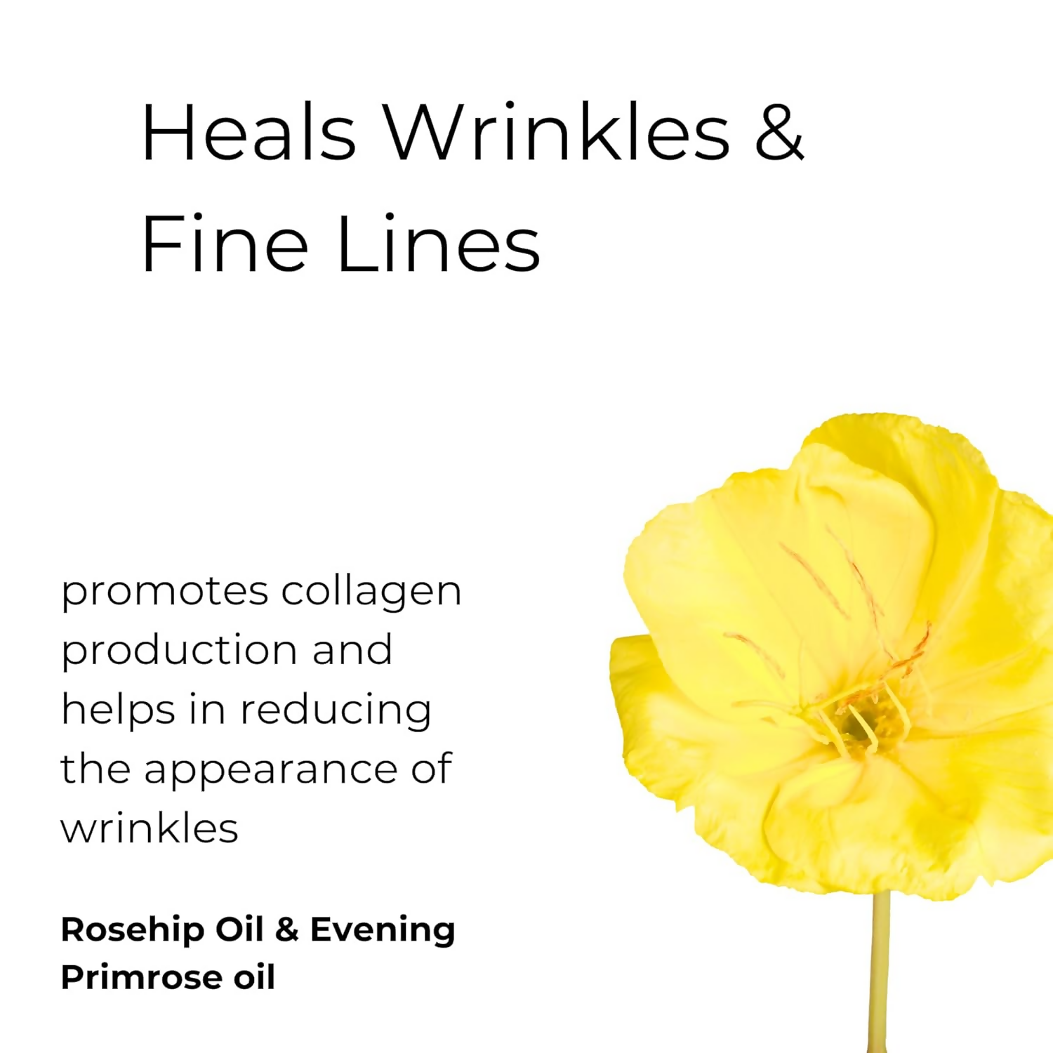 Noor Skincare Under Eye Serum For Dark Circles, Wrinkles & Fine Lines