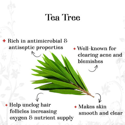 alps goodness tea tree essential oil buy in usa