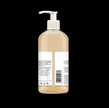 Buy Biotique Eggplex & Keratin Shampoo from DrMediCart, Ship from India to USA