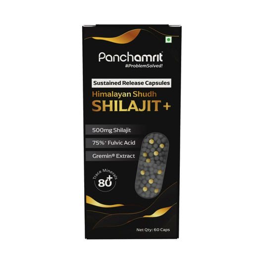 Panchamrit 8 hrs Sustained Release Capsules 500mg