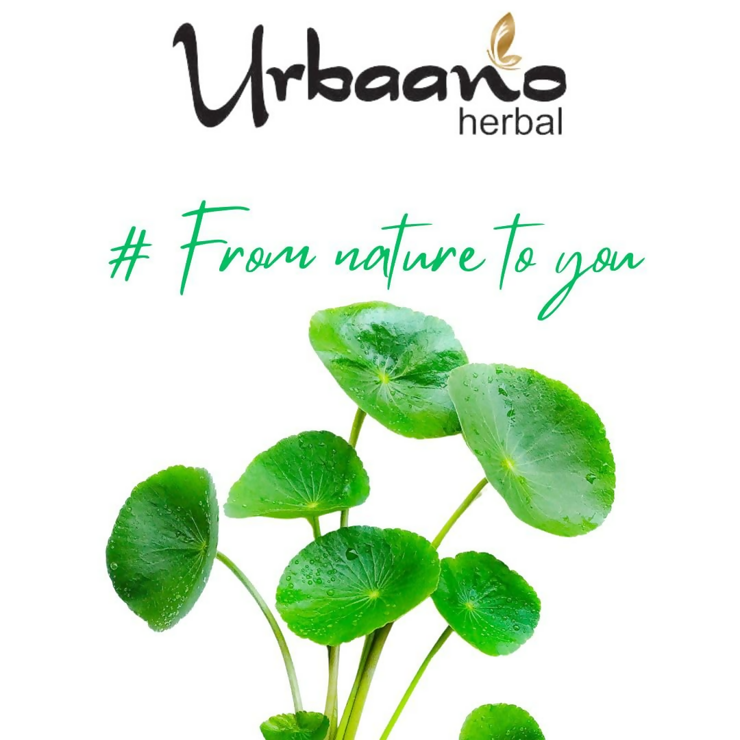 Urbaano Herbal Gotukola Extract Natural For Skin & Hair Care Products