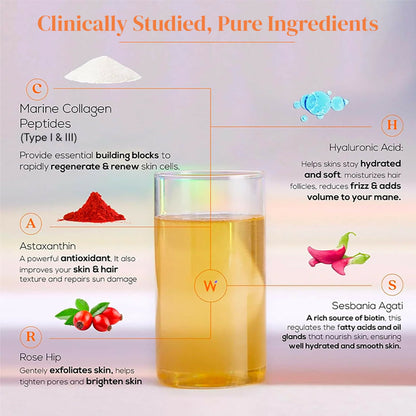 Wellbeing Nutrition Glow Korean Marine & Beauty Collagen Combo: Tropical Bliss & Mango Peach Flavor