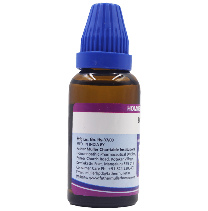 Father Muller Bovista Dilution