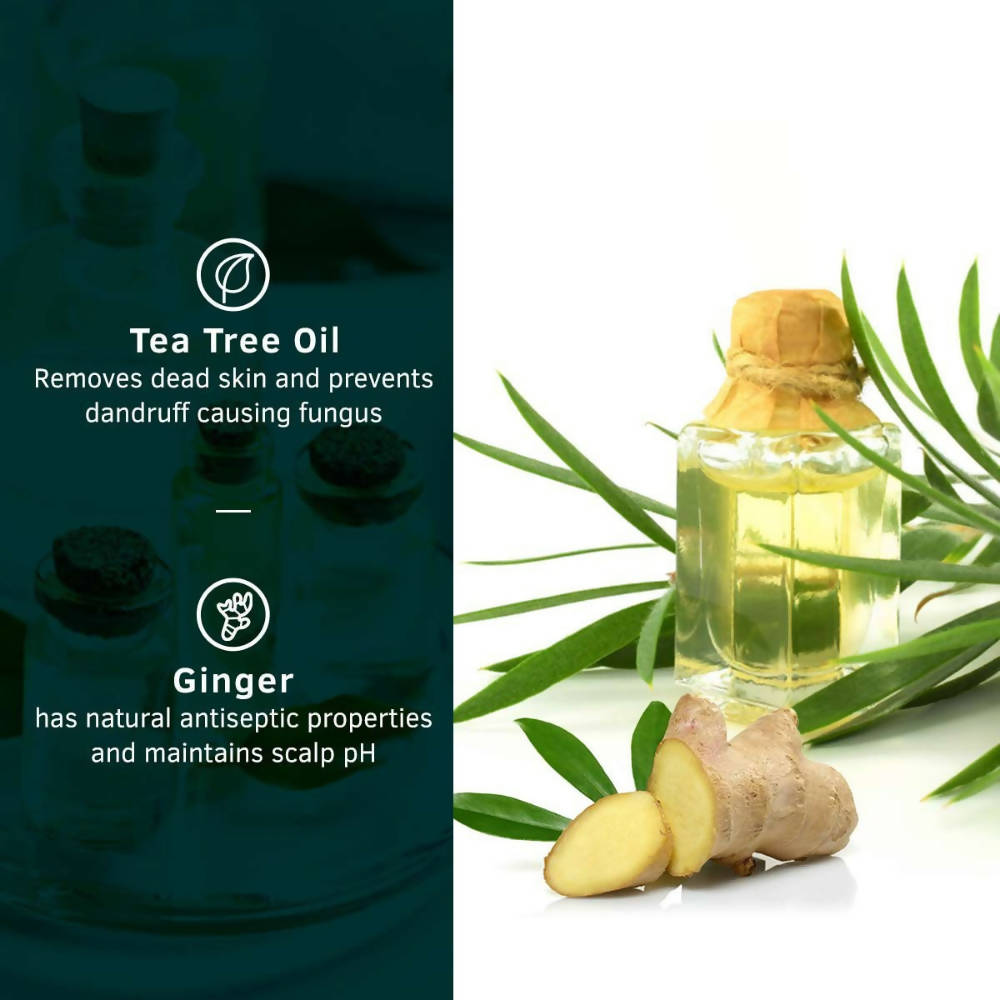 Ustraa Anti Dandruff Hair Shampoo With Ginger & Tea Tree For Men - Drmedicart