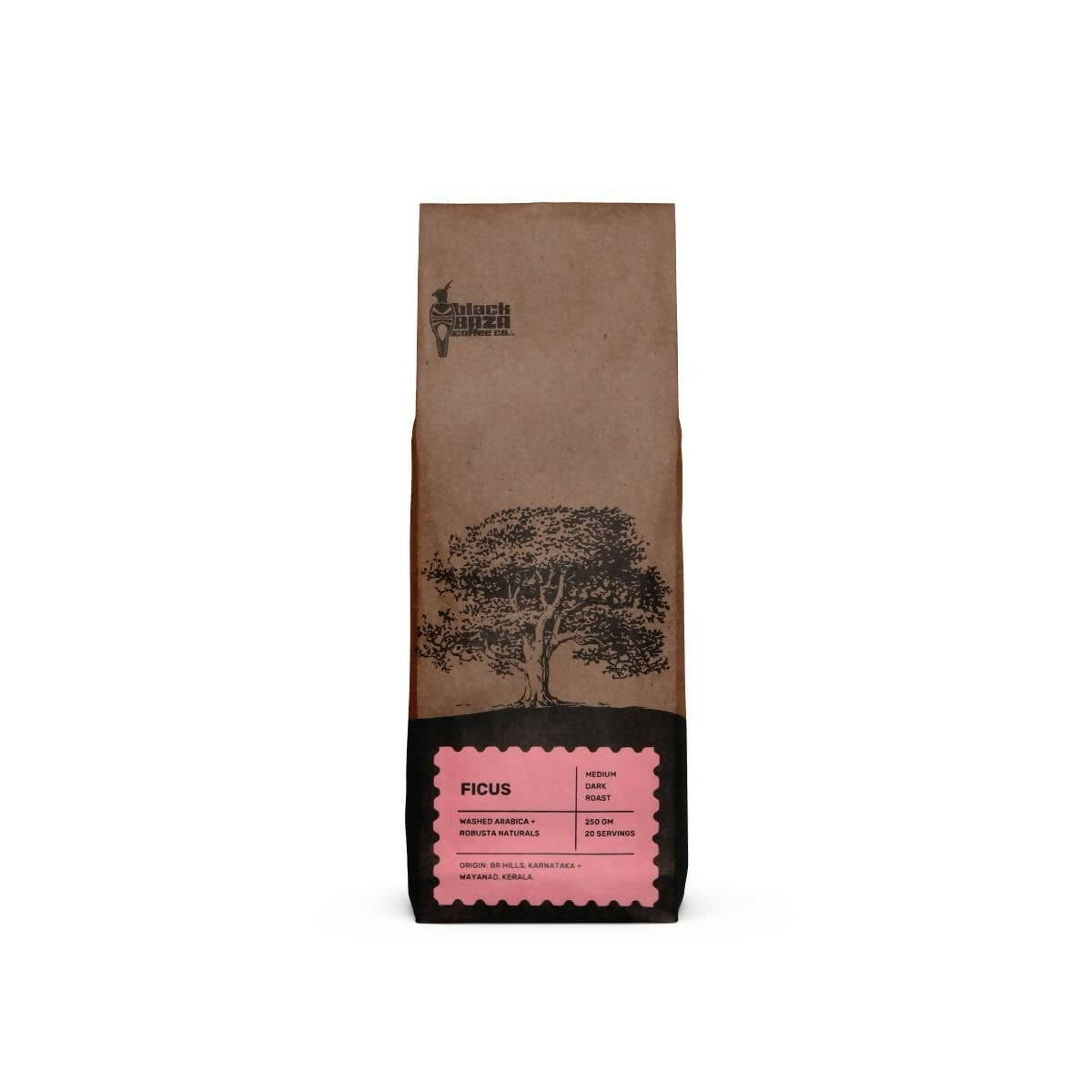 Buy Black Baza Coffee Ficus from DrMediCart
