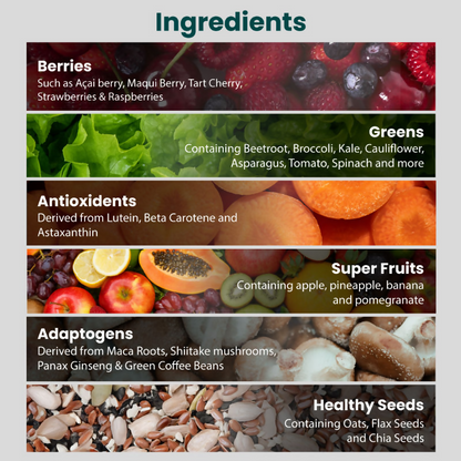Supply6 360 Daily Health Supplement 63+ Nutrient, Multivitamin, 3B CFU Probiotic & Superfood