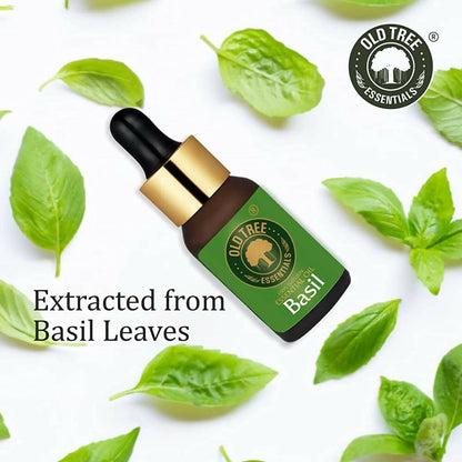 Old Tree 100% Natural & Pure Basil Essential Oil