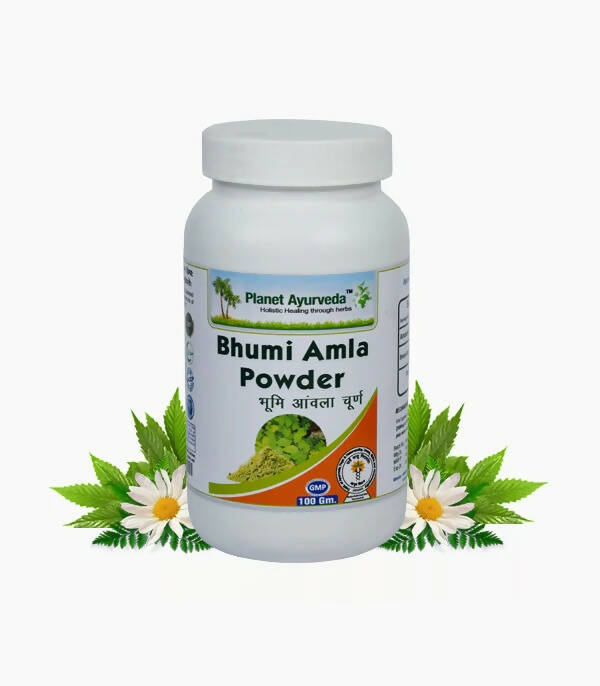 Planet Ayurveda Bhumi Amla Powder