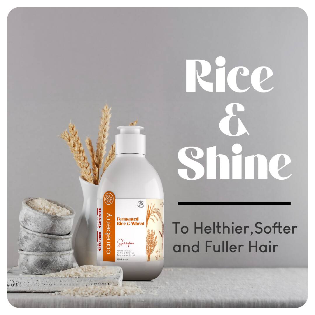 careberry rice wheat volumizing shampoo