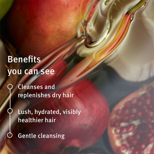 Buy Aveda Nutriplenish Shampoo from DrMediCart, Ship from India to USA