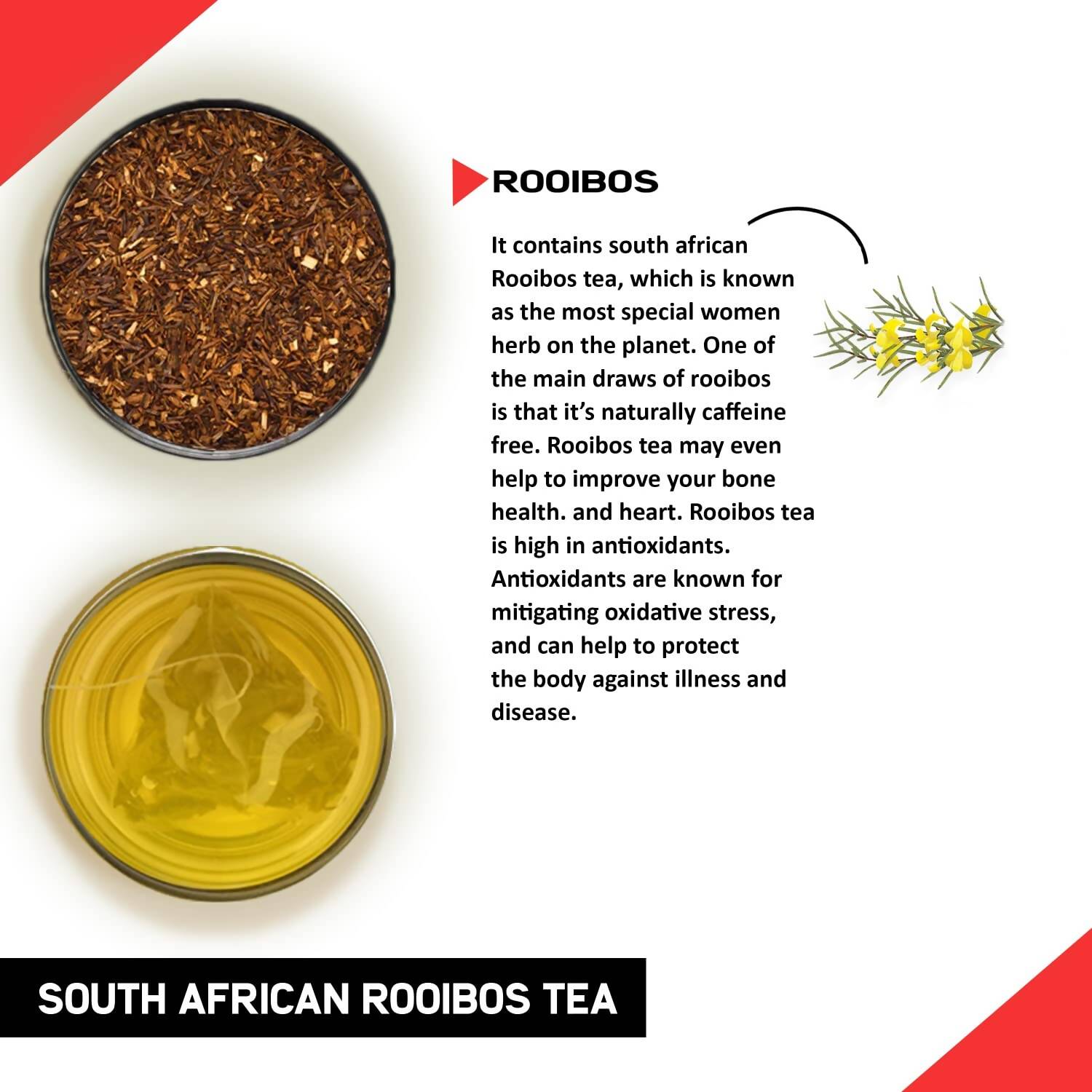 Teacurry South African Rooibos Tea Bags - Drmedicart
