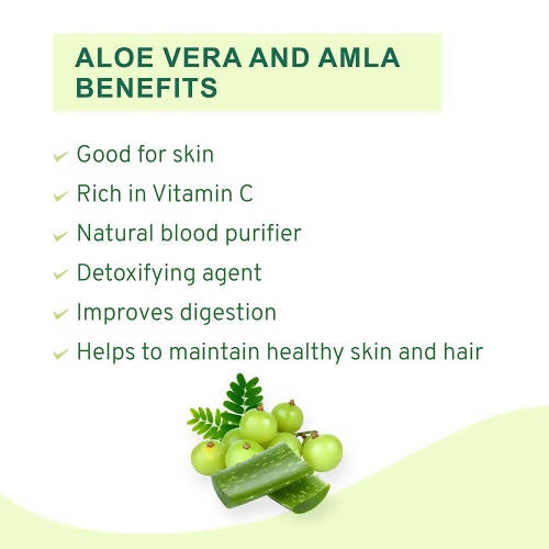 Vitro Naturals Healthy Amla Juice