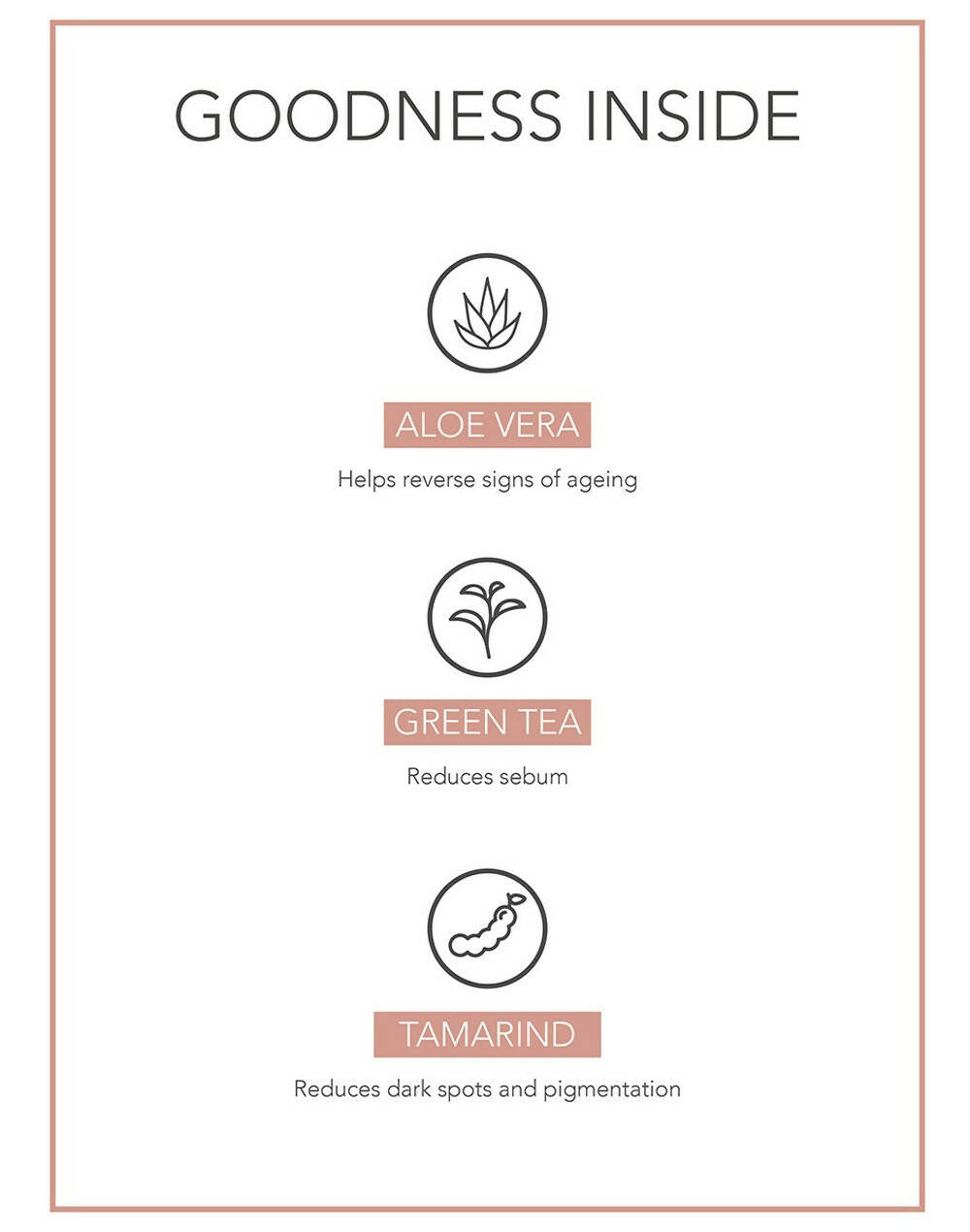 Fabessentials Aloe Vera Camellia Leaves Face Scrub