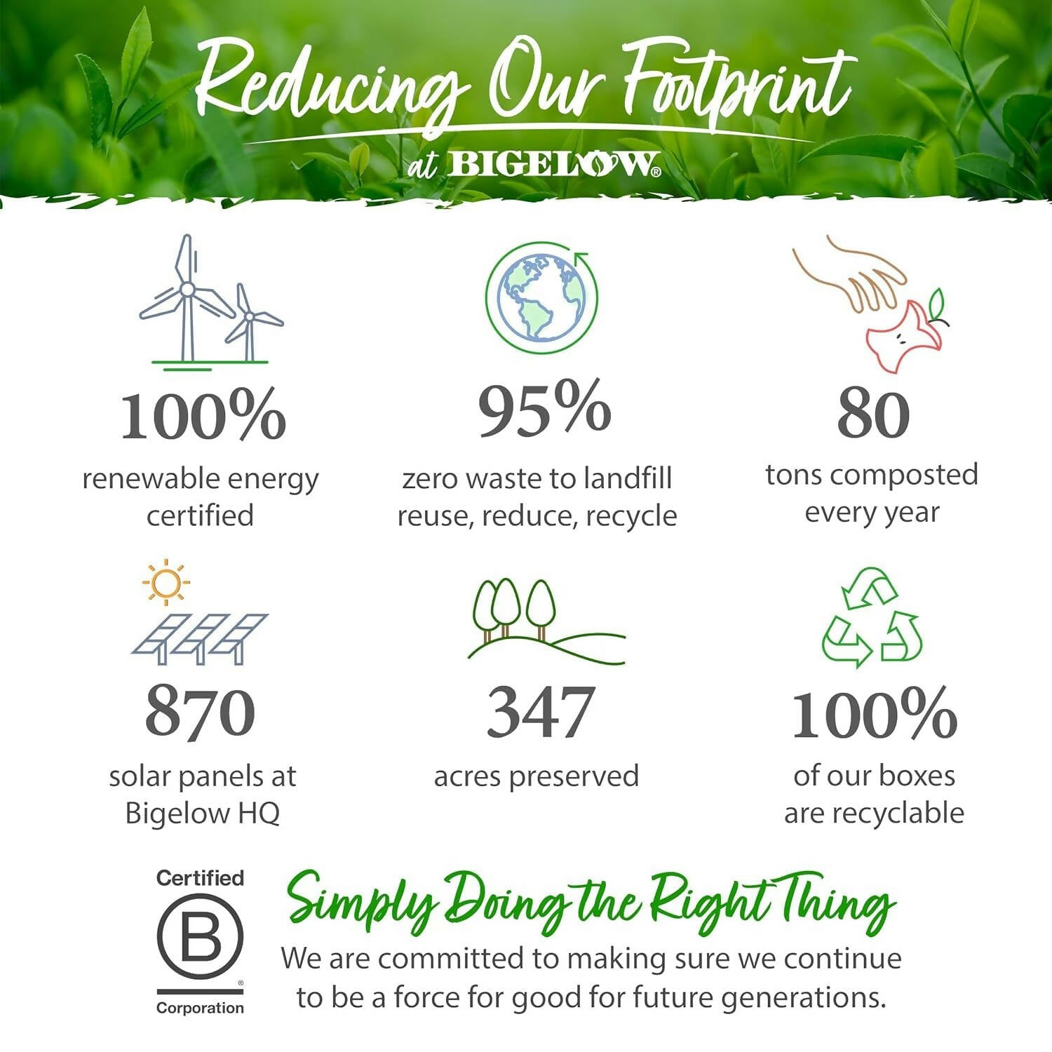 Bigelow Tea Constant Comment Black Tea Freshness & Aroma Caffeinated