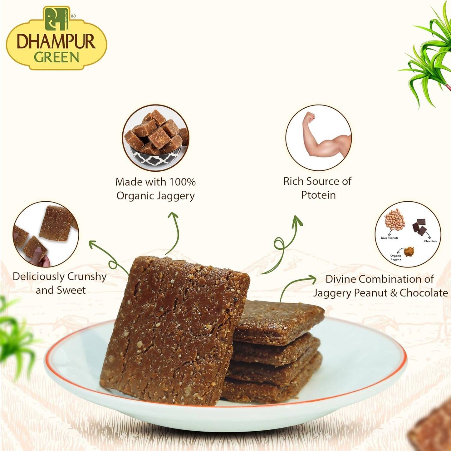 Dhampur Green Chocolate Peanut Chikki