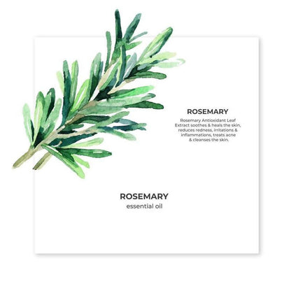 Juicy Chemistry Rosemary Essential Oil