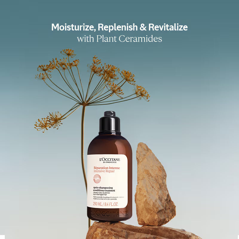 L'Occitane Intensive Repair Conditioner