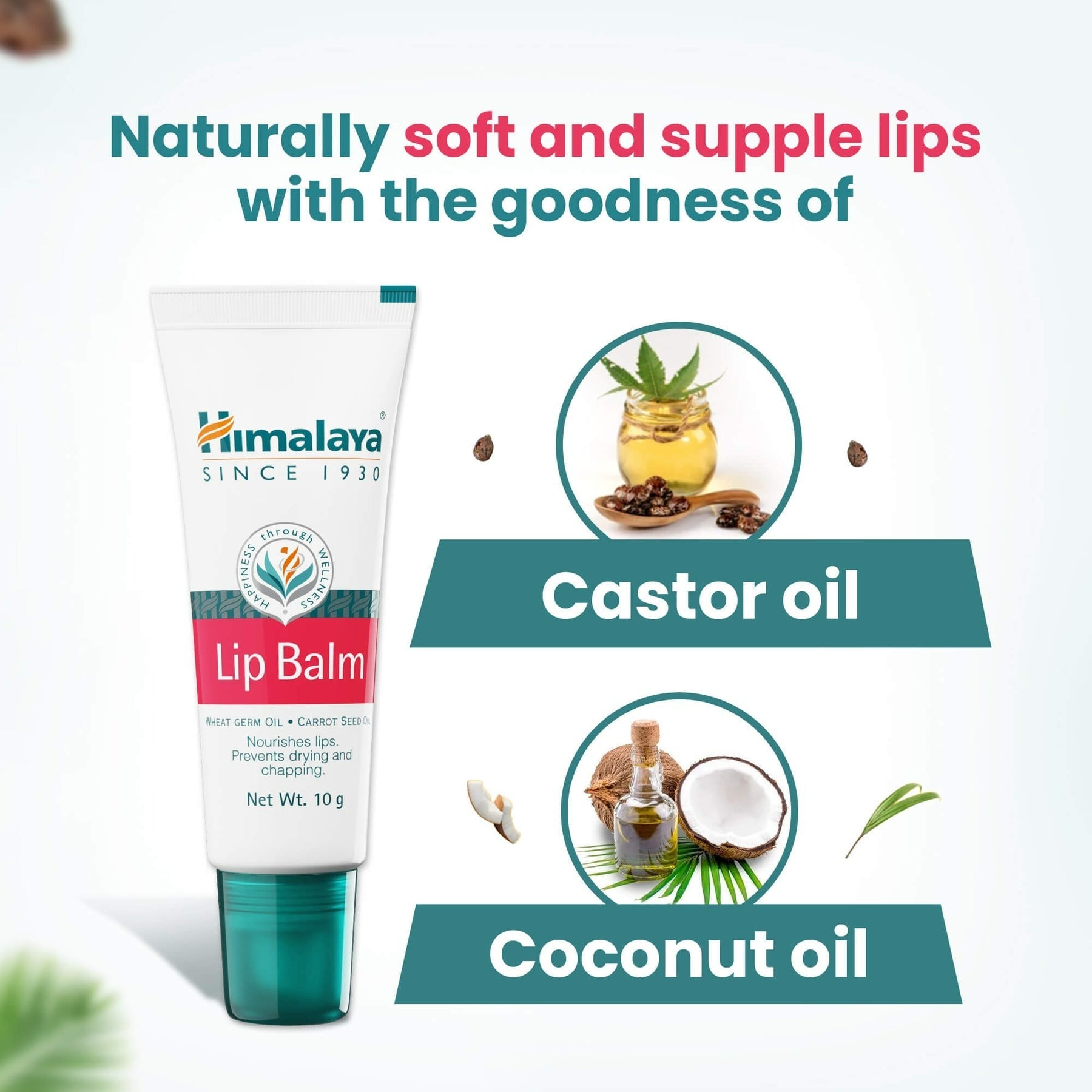Himalaya Herbals Lip Balm